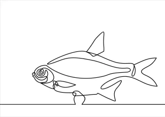One-Line Fish Drawing: Great for Practicing Simple Shapes and Symmetry