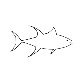 One-Line Fish Drawing: Great for Practicing Basic Shapes and Balance