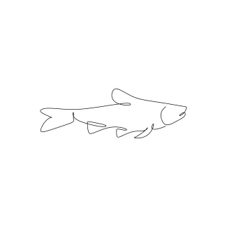 Simple Fish One-Line Drawing: Practice Curves and Fins Easily