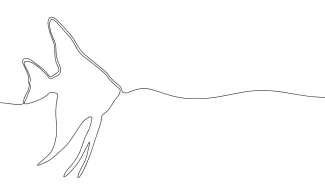 Fish Easy One-Line Fish Drawing: Learn to Sketch with Balanced Shapes
