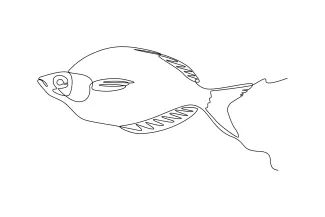 Flounder Fish Flounder Fish One-Line Drawing: A Fast and Fun Way to Improve Basic Drawing Skills