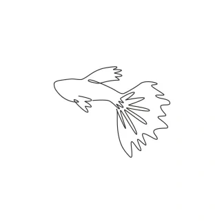 Adorable guppy fish Adorable Guppy Fish in One Line: Practice Delicate Details with a Tiny Sea Creature