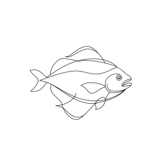 Halibut One-Line Drawing: Capture Flat Fish Shapes in Simple Form