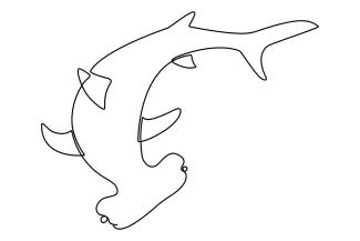 Hammerhead shark Hammerhead Shark One-Line Drawing: Practice Unique Head Shapes with Confidence