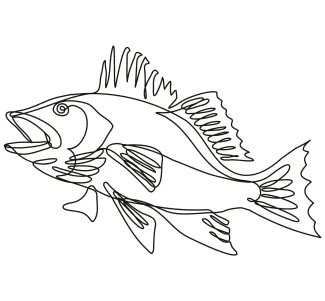 One-Line Largemouth Bass Drawing: Focus on Big Features in a Simple Animal Sketch