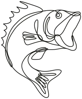 Jumping Largemouth Bass in One Line: Explore Power and Height in a Simple Drawing