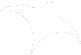 Manta Ray One-Line Drawing: Build Confidence with Large Ocean Shapes