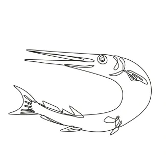 Needlefish Jumping Drawing in One Line: Practice Slim Shapes and Aerial Curves