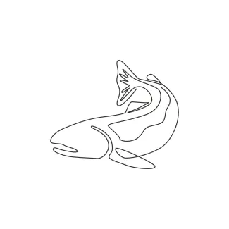 Big salmon Big Salmon in One Line: Practice Natural Fish Shapes and Basic Proportions