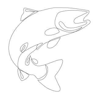 One-Line Salmon Drawing: Learn Elongated Body Form in a Simple Sketch