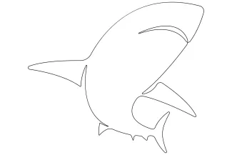 Simple One-Line Shark Drawing: Practice Bold Shapes with Minimal Effort