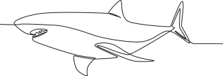 Shark One-Line Shark Drawing: Practice Simple Predator Shapes with Easy Ocean Outlines