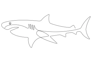 One-Line Shark Drawing: Simple Ocean Predator Art for Beginner Artists