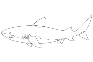 Shark One-Line Drawing: Learn to Draw with Clear and Strong Sea Shapes