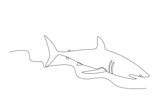 Shark Shark One-Line Drawing: Simple Marine Predator for Confident Line Practice