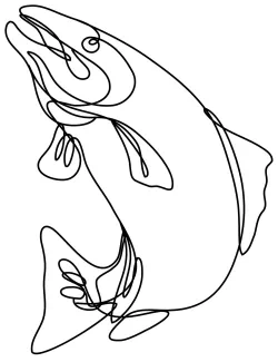 Lake trout jumping up Jumping Lake Trout in One Line: Explore Height, Curves, and Natural Motion