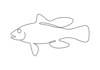 Easy White Bass One-Line Drawing: Strengthen Planning with Simple Sea Shapes
