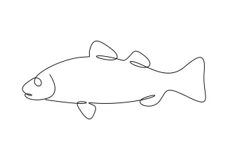 Freshwater Bass One-Line Sketch: Easy Animal Drawing for Steady Handwork
