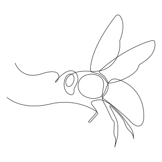 Bee Flying Fun and Easy One Line Drawing of a Flying Bee