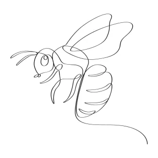 One-Line Honey Bee Drawing: Learn Insect Form and Simplicity in One Step