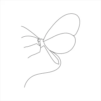 Butterfly Insect Butterfly in One Line Art: A Creative Way to Practice Drawing Nature’s Tiny Insects