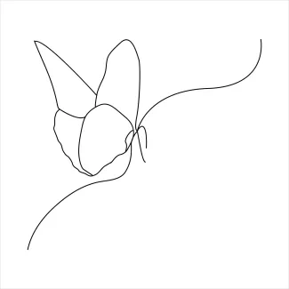 Butterfly Insect Single Line Butterfly Drawing for Beginners: Learn Insect Art the Easy Way