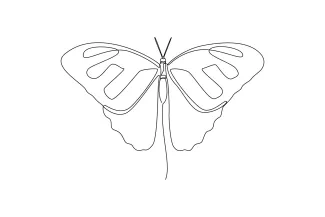 Butterfly Easy Butterfly One Line Drawing: Learn to Sketch Nature with One Continuous Line