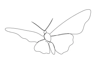 Butterfly Summer One Line Butterfly Drawing for Summer: A Simple Way to Enjoy Seasonal Insect Art