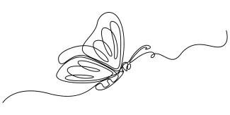 Simple Line Butterfly for Quick Drawing: Great for Building Drawing Confidence