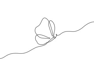 Butterfly Beautiful Beautiful Butterfly Drawing in One Line: A Simple Way to Sketch Elegant Insects