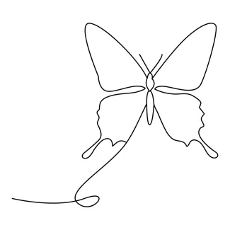 Butterfly Draw a Butterfly in One Line: Build Drawing Skills with Easy Nature Sketches