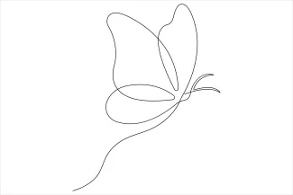 Butterfly Simple Butterfly in One Line: Learn to Draw Nature with Minimal Effort