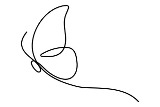 One Line Drawing for Butterfly Lovers: Learn Insect Shapes Without Pressure