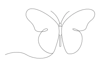Draw a Butterfly Using One Line: A Great Way to Learn Balance and Shape
