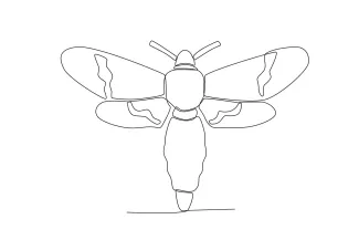 Moth Simple Moth Drawing in One Line: Study Wing Design with Easy Shapes