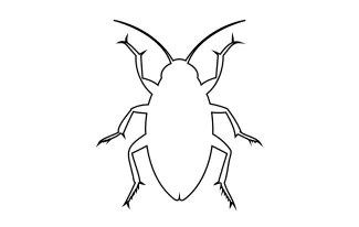 Cockroach One-Line Cockroach Art: Explore Easy Insect Form with Clear Drawing Steps