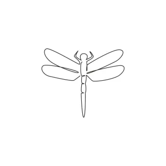 Elegant Dragonfly in One Line: A Simple Art Activity for Observation Skills