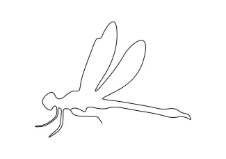 Cute Dragonfly Drawing in One Line: Simple Symmetry for Young Artists