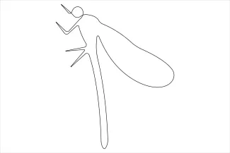 Easy One-Line Dragonfly Drawing: Perfect for Learning Balanced Insect Forms