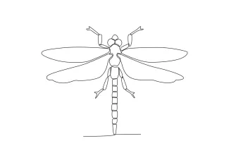 One-Line Dragonfly Drawing: Learn Wing Alignment and Body Length in One Step