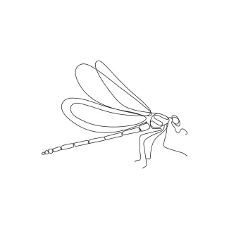 Easy One-Line Dragonfly Sketch: Discover Insect Proportions Through Minimal Art