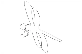 Dragonfly One-Line Dragonfly Drawing: Strengthen Symmetry Skills with Clear, Simple Design