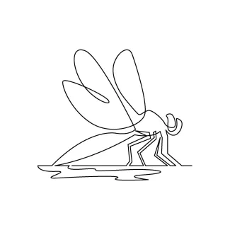 Dragonfly Easy One-Line Dragonfly Drawing: Study Insect Wings and Proportion Balance