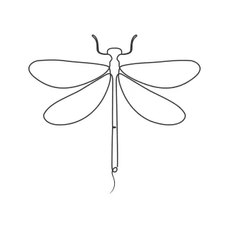Dragonfly One-Line Drawing: Simple Art to Learn Line Balance and Shape Placement
