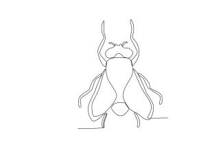 Fly One-Line Fly Drawing: Quick Study for Small Insect Form and Balance