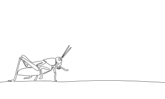 One-Line Grasshopper Drawing: Practice Movement and Shape with Simple Lines