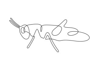 Grasshopper in One Line: Develop Insect Drawing Skills Through Simple Form Practice