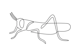 Practice Insect Art with One-Line Grasshopper Drawing: Build Confidence with Shape Layout