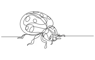 Ladybug One-Line Ladybug Drawing: Simple and Fun Way to Learn Basic Insect Shapes