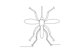 Mosquito One-Line Mosquito Drawing: Study Thin Shapes and Long Legs Simply